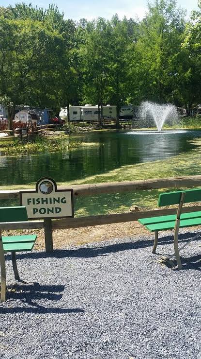 Fishing pond and campground setting near Georgetown Delaware